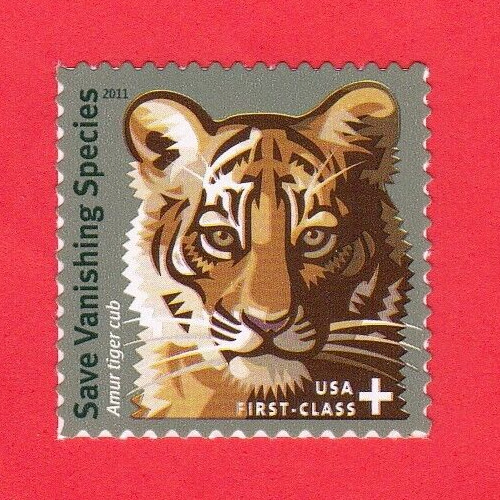 2011 AMUR TIGER CUB STAMP SAVE VANISHING SPECIES TIGERS CATS SEMIPOSTAL MNH 2011 AMUR TIGER CUB STAMP SAVE VANISHING SPECIES TIGERS CATS SEMIPOSTAL MNH