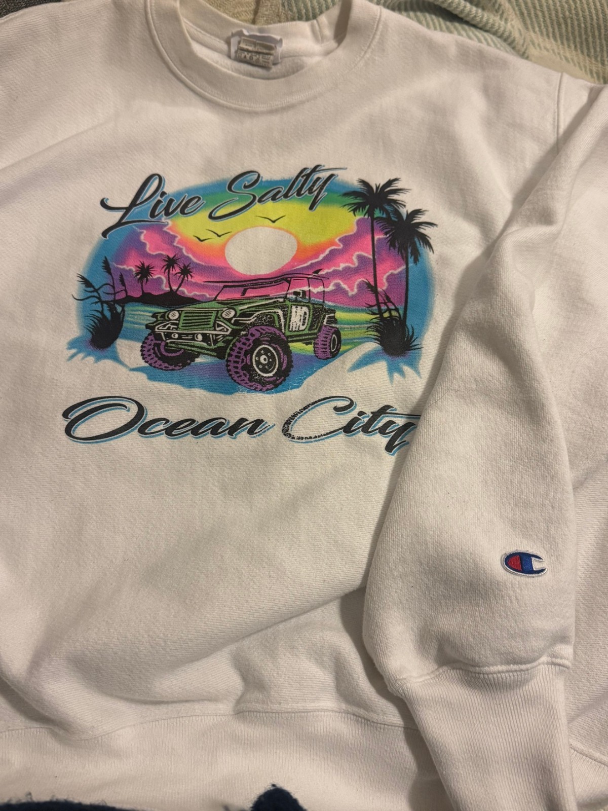 Vintage Champion Reverse Weave Ocean City Sweatshirt L Y2K