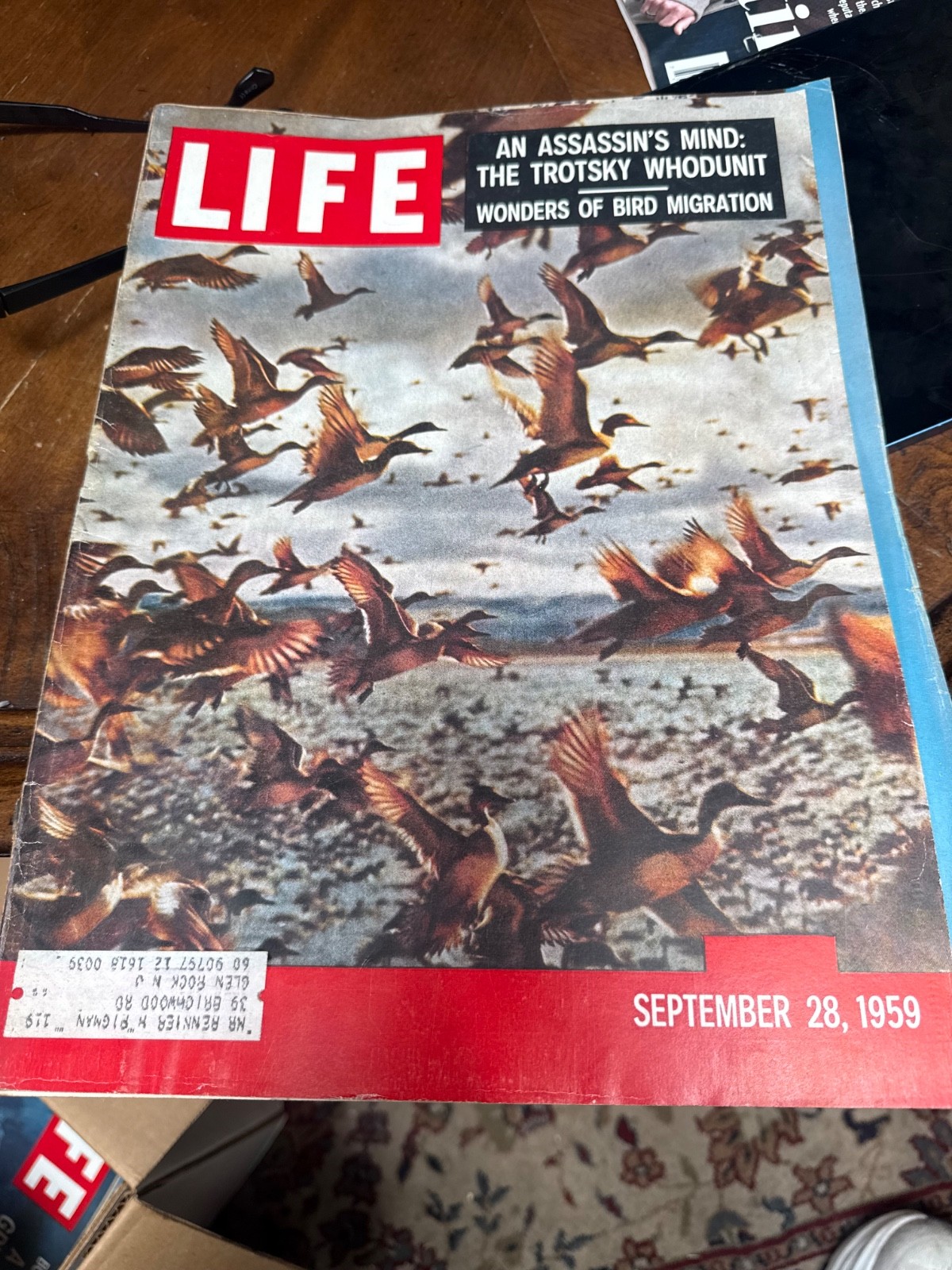 Life magazine, September 28, 1959 wonders of bird migration very good condition Life magazine, September 28, 1959 wonders of bird migration very good condition