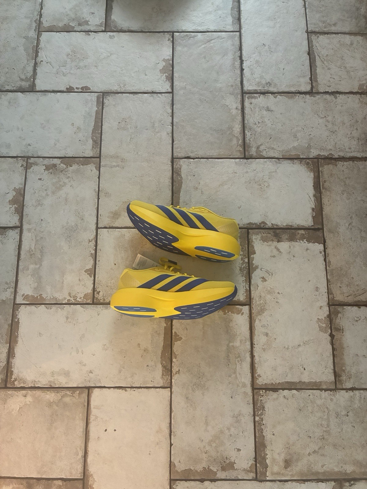 Adidas ADIZERO EVO SL Woven Yellow Royal Blue KK3673 Authentic Mens NEW OPEN BOX Adidas ADIZERO EVO SL Woven Yellow Royal Blue KK3673 Authentic Mens NEW OPEN BOX