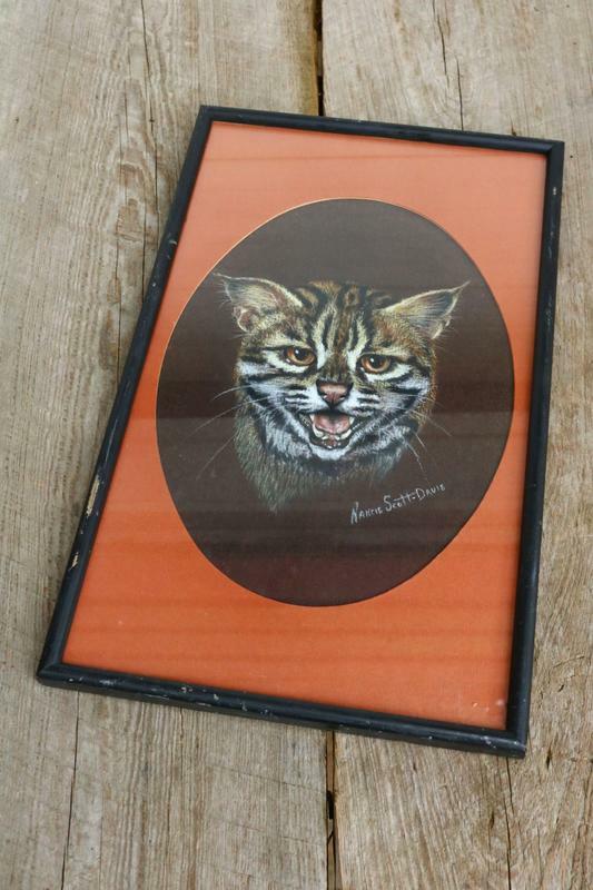 Cat Picture Unusual Kitten Mad Hand Made Art Scott Davis Framed NL