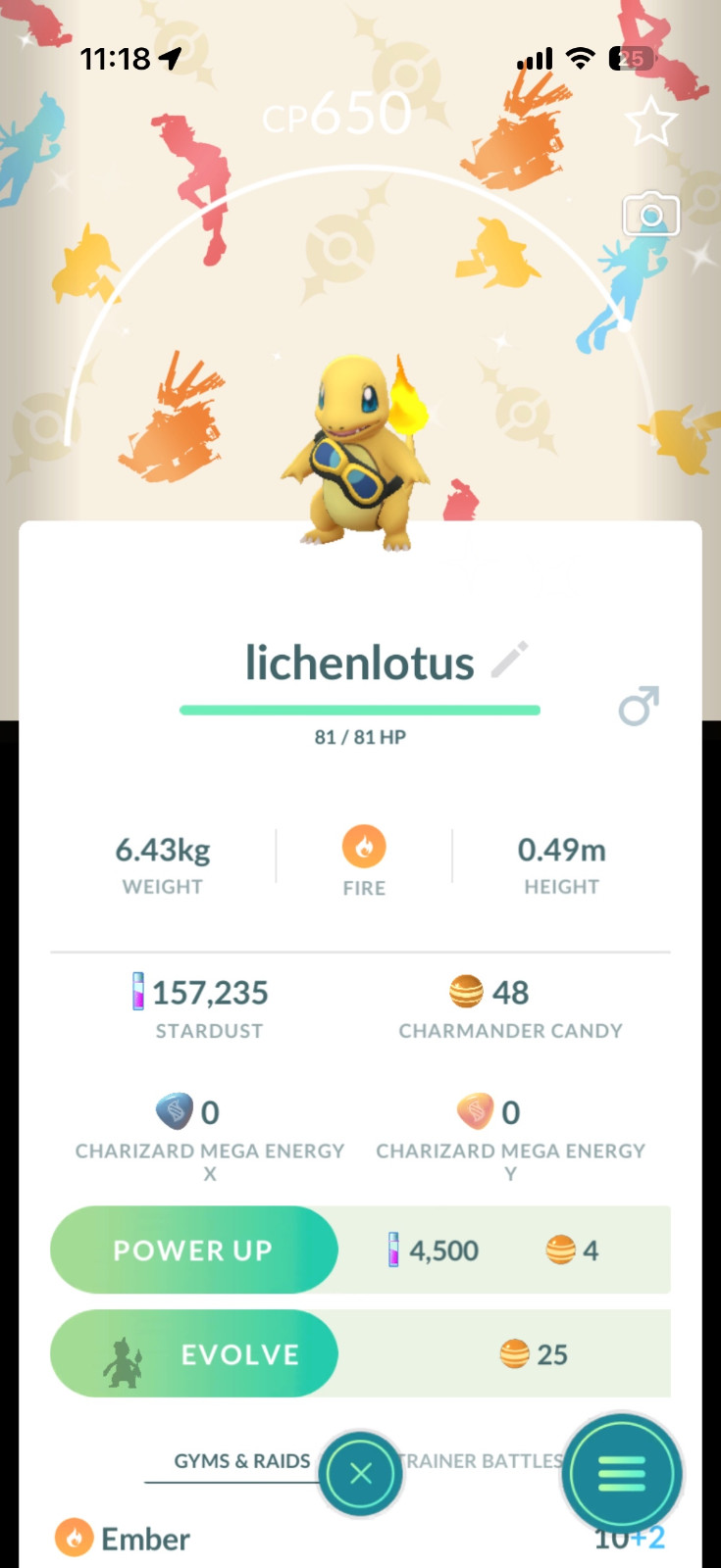 Pokémon Shiny Charmander Wearing Friede's Goggles *2026 New Release* Pokémon Shiny Charmander Wearing Friede's Goggles *2026 New Release*