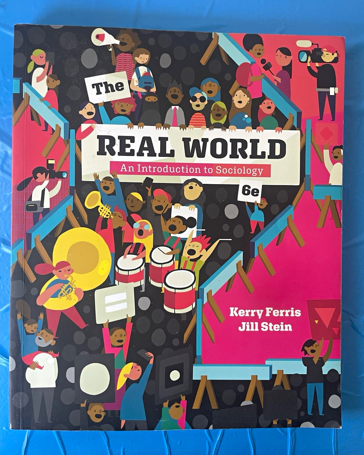 W. W. Norton The Real World: Intro to Sociology 6th Ed Ferris Stein PB 2018 W. W. Norton The Real World: Intro to Sociology 6th Ed Ferris Stein PB 2018