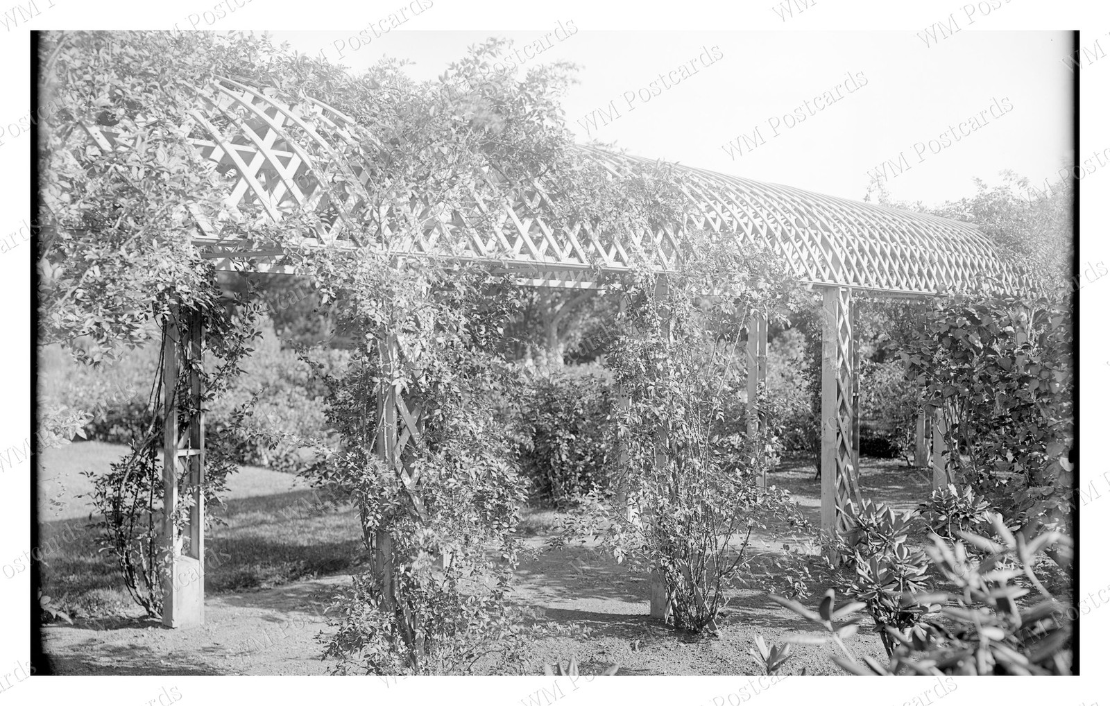 Danvers Massachusetts 1900s Garden Arbor Trellis Standard Postcard Danvers Massachusetts 1900s Garden Arbor Trellis Standard Postcard