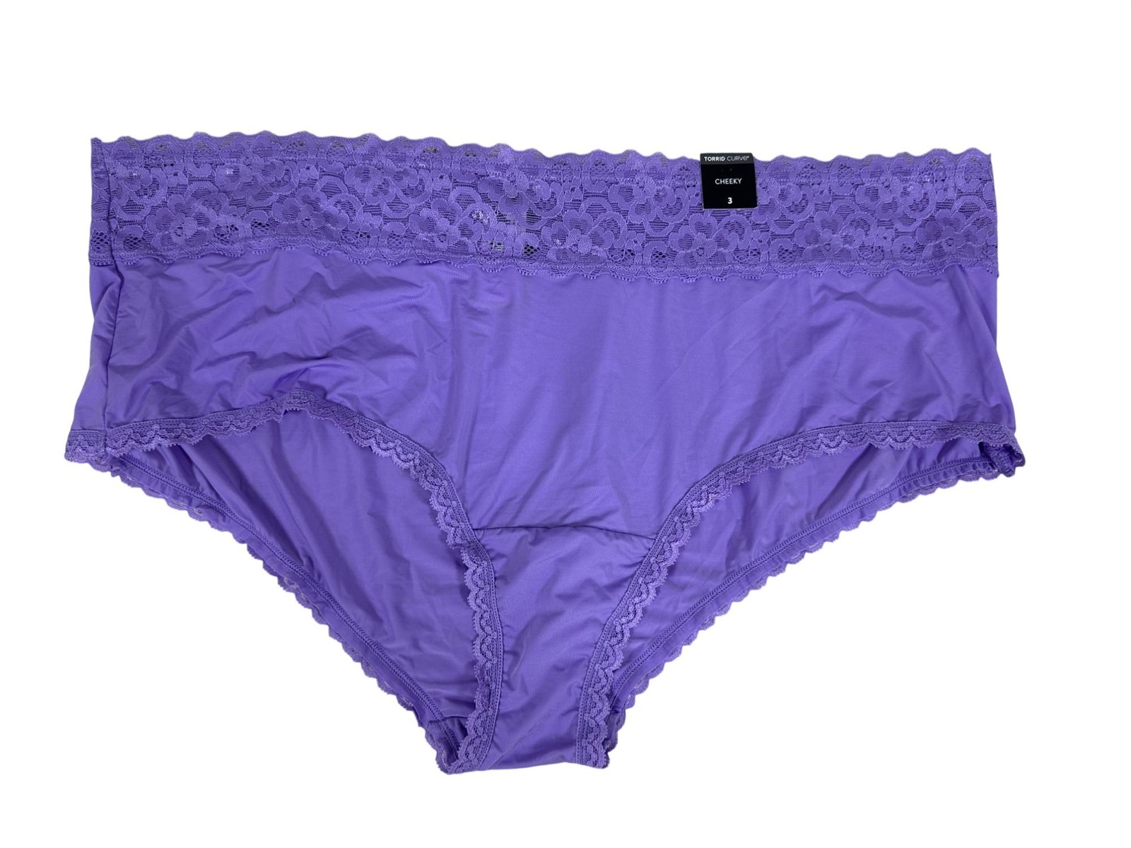 Torrid Curve Second Skin Cheeky Panty Size 3 3X Purple Wide Lace Trim NWT Torrid Curve Second Skin Cheeky Panty Size 3 3X Purple Wide Lace Trim NWT