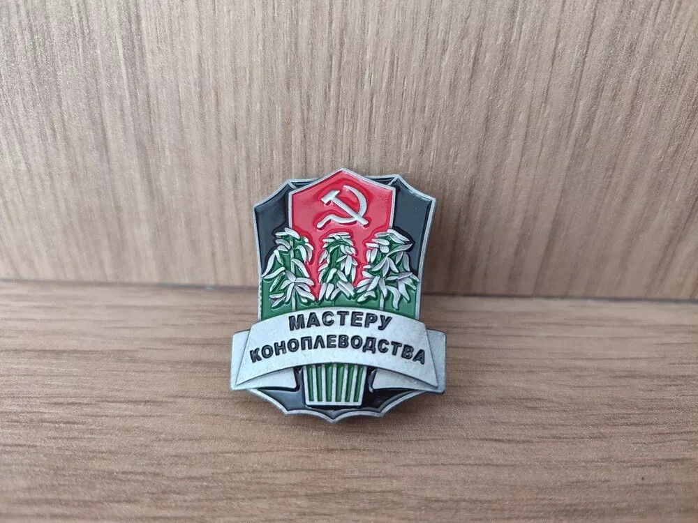 SOVIET USSR RUSSIAN PIN BADGE \