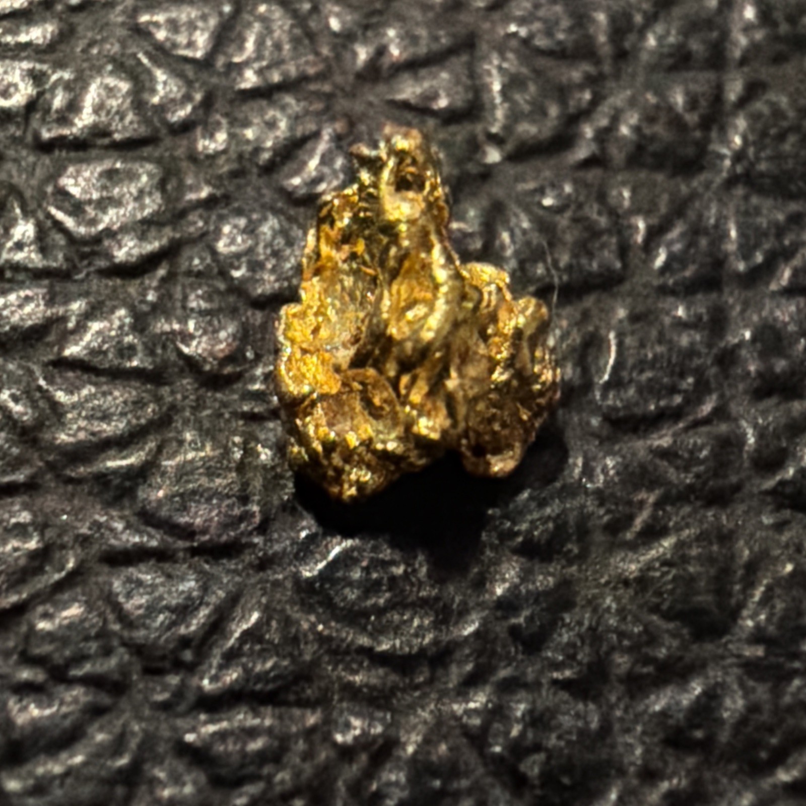 VENEZUELA GOLD NUGGET “SHRINE OF ANUBIS” GOLD 23k+ .200g - Wow - Rare VENEZUELA GOLD NUGGET “SHRINE OF ANUBIS” GOLD 23k+ .200g - Wow - Rare