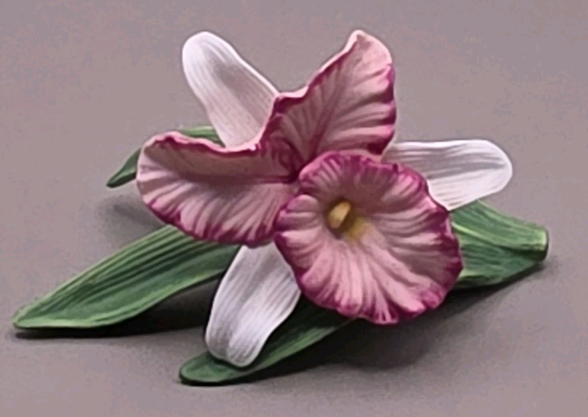 Vintage Iris Cattleya Orchid Lily Porcelain Pink White 1970s Vintage Iris Cattleya Orchid Lily Porcelain Pink White 1970s
