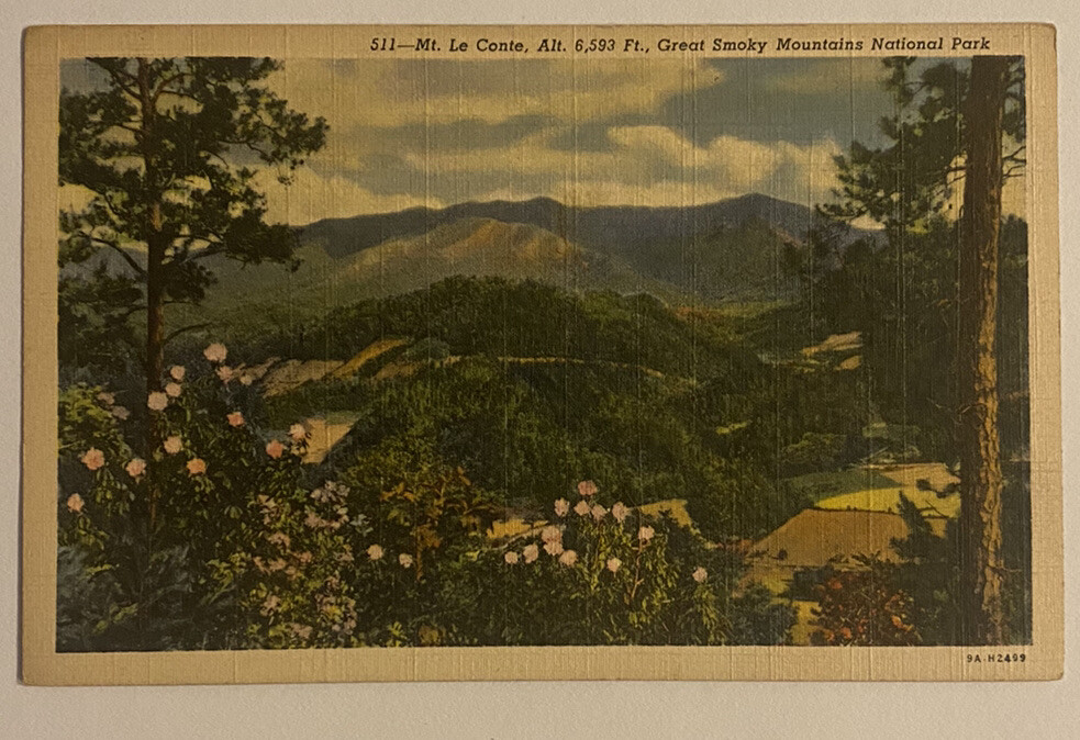 Mt. Le Conte ~ Smoky Mountains National Park ~ Vintage Linen Postcard Mt. Le Conte ~ Smoky Mountains National Park ~ Vintage Linen Postcard