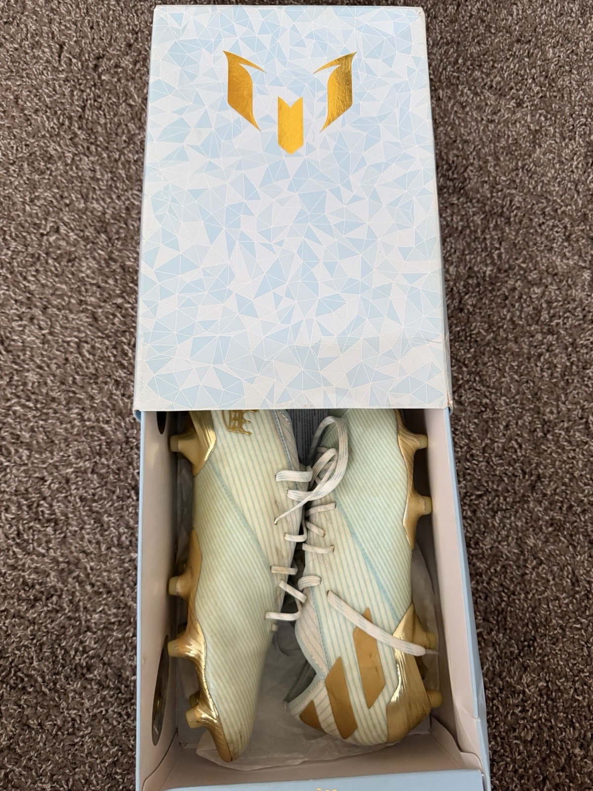 Adidas Nemeziz 19.1 FG Messi 15 Anos 15 Year Limited Edition