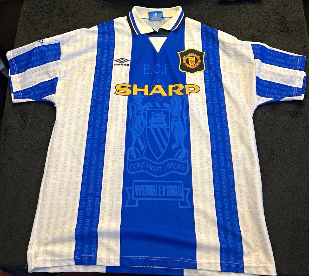 Vintage 1994-96 Manchester United Umbro Cantona #7 Third Shirt Jersey XL Vintage 1994-96 Manchester United Umbro Cantona #7 Third Shirt Jersey XL