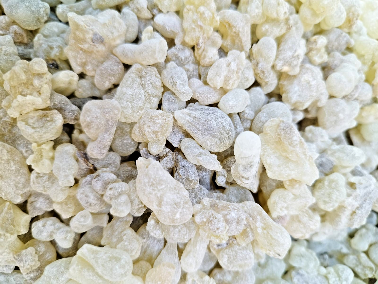 Omani Frankincense Hojari Loban Medical Edible Grade 1kg (2.2 LB) New Crop