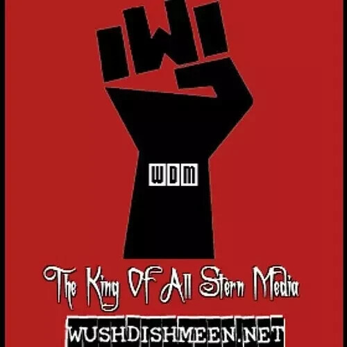 Howard Stern Radio WUSHDISHMEEN HDD Audio Collection (1980-2025) 1TB of Shows