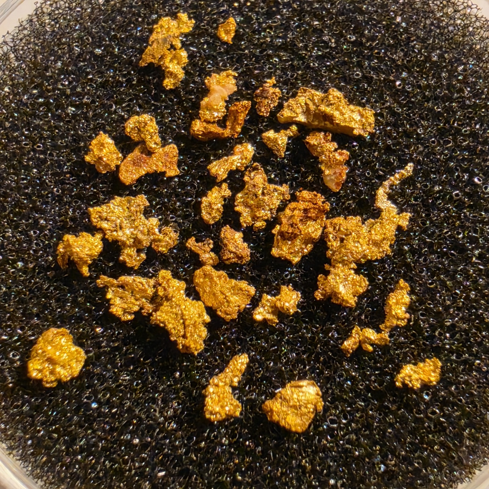.682g Extremely Rare Transylvania Romania Crystallized Gold Nugget Batch .682g Extremely Rare Transylvania Romania Crystallized Gold Nugget Batch
