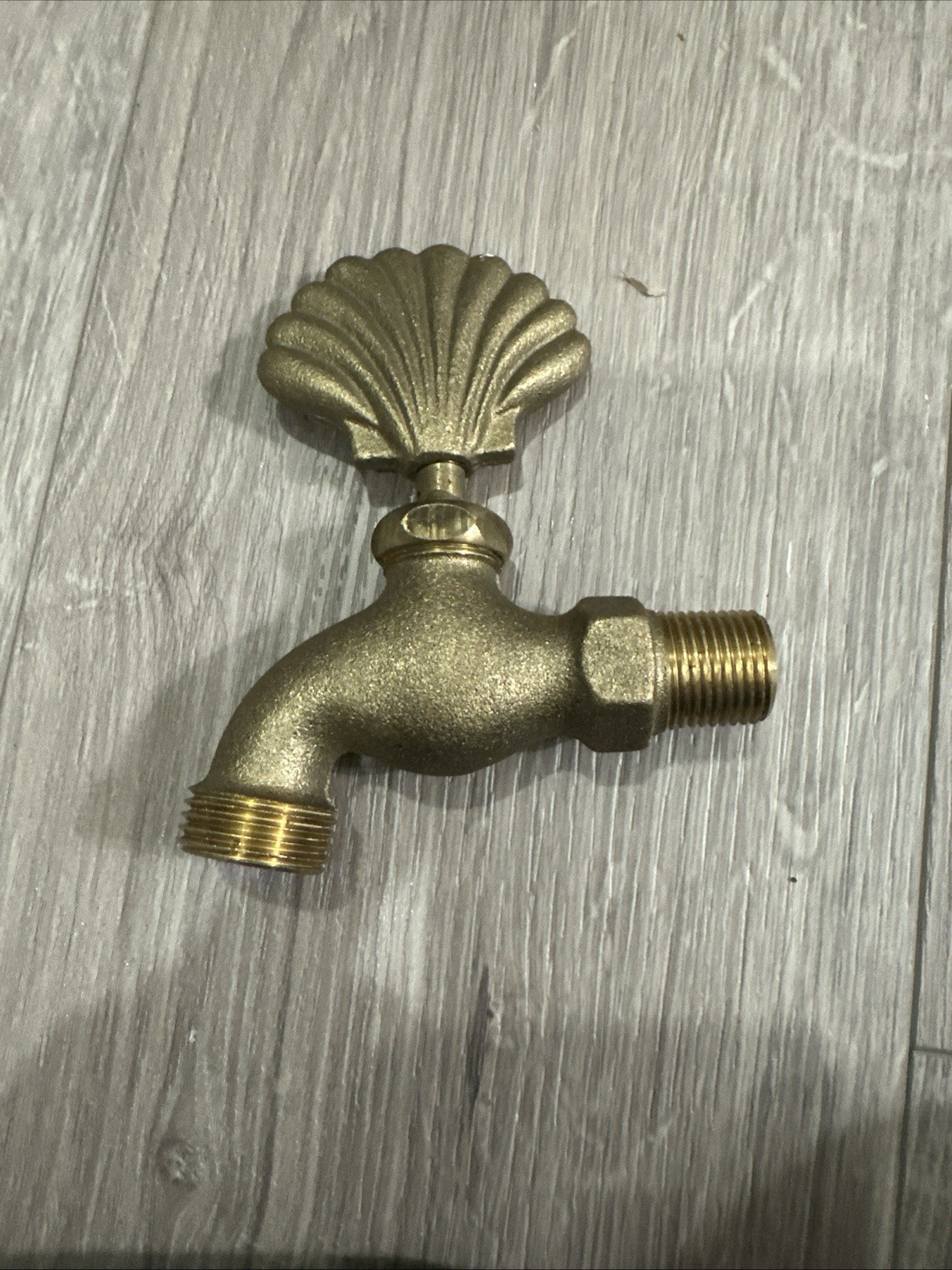 Scallop Clam Sea shell Outdoor Cast Brass ~4\ Scallop Clam Sea shell Outdoor Cast Brass ~4\