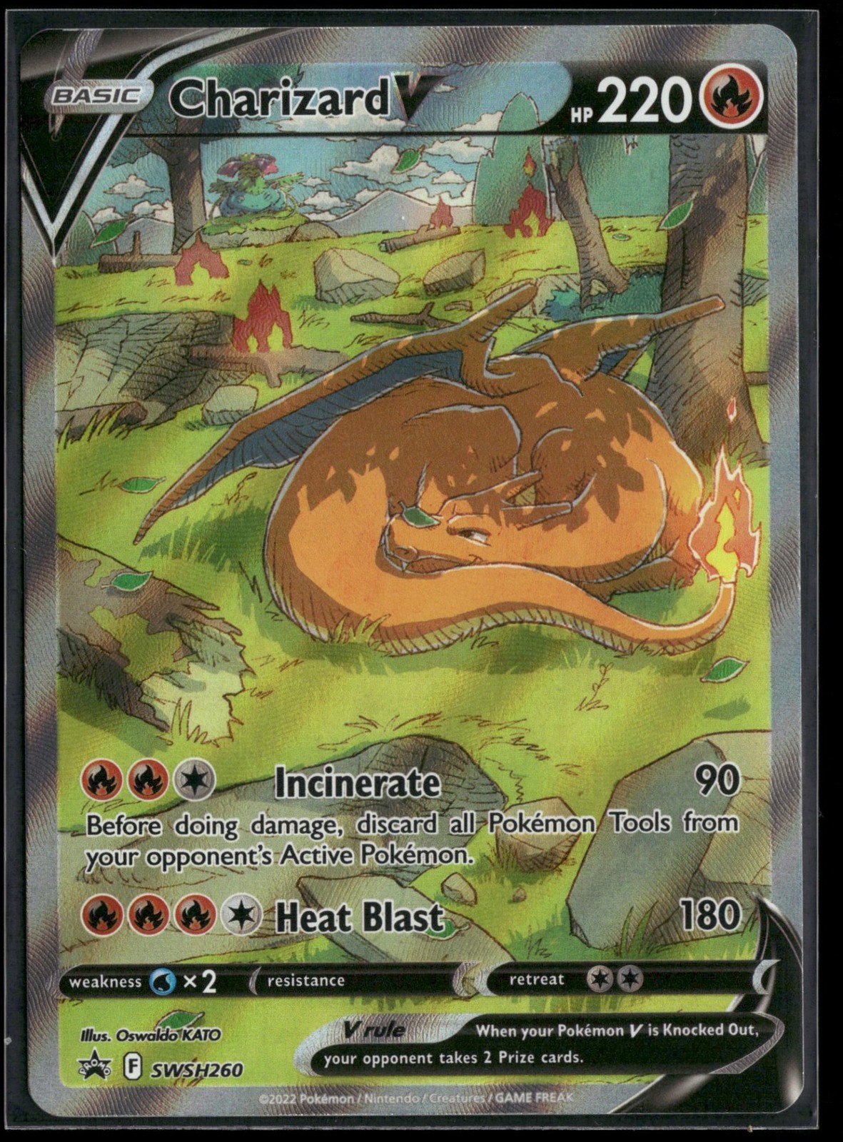 Charizard V SWSH260 P SWSH: Sword & Shield Promo Cards Holo NM Pokemon