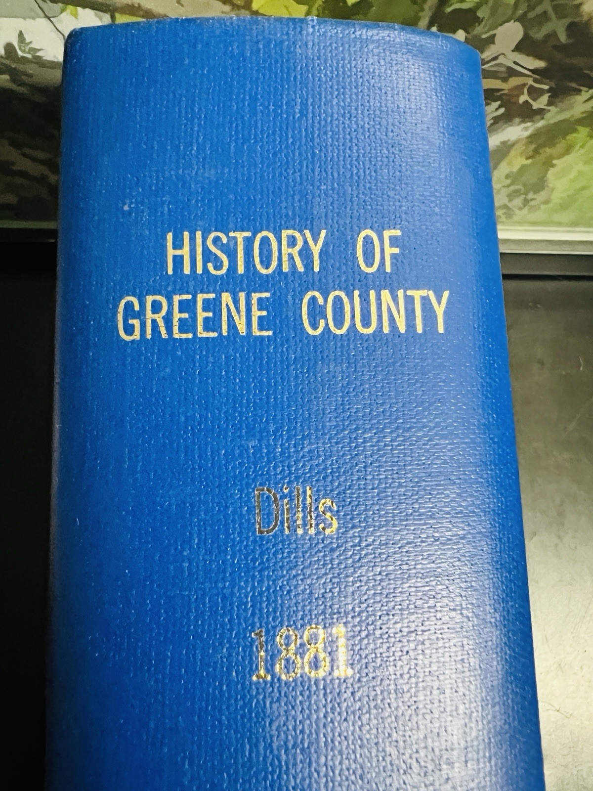 HISTORY OF GREENE COUNTY by R. S. Dills 1974 reproduction of 1881 book HISTORY OF GREENE COUNTY by R. S. Dills 1974 reproduction of 1881 book