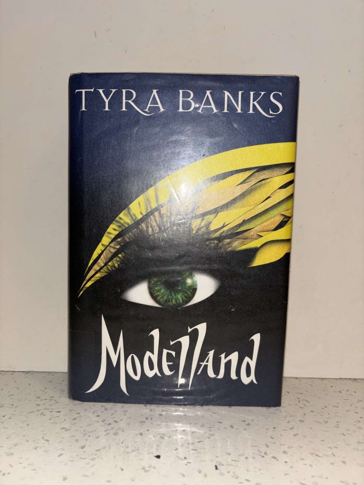 Modelland by Tyra Banks (2011, Hardcover) First Print