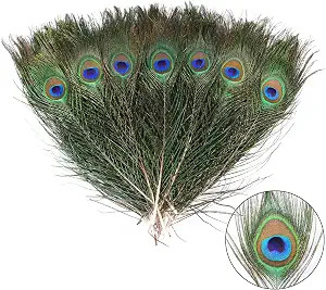 THARAHT 12pcs Peacock Feather Natural in Bulk 10-12 inch 25-30cm Small EyeFor Cr THARAHT 12pcs Peacock Feather Natural in Bulk 10-12 inch 25-30cm Small EyeFor Cr