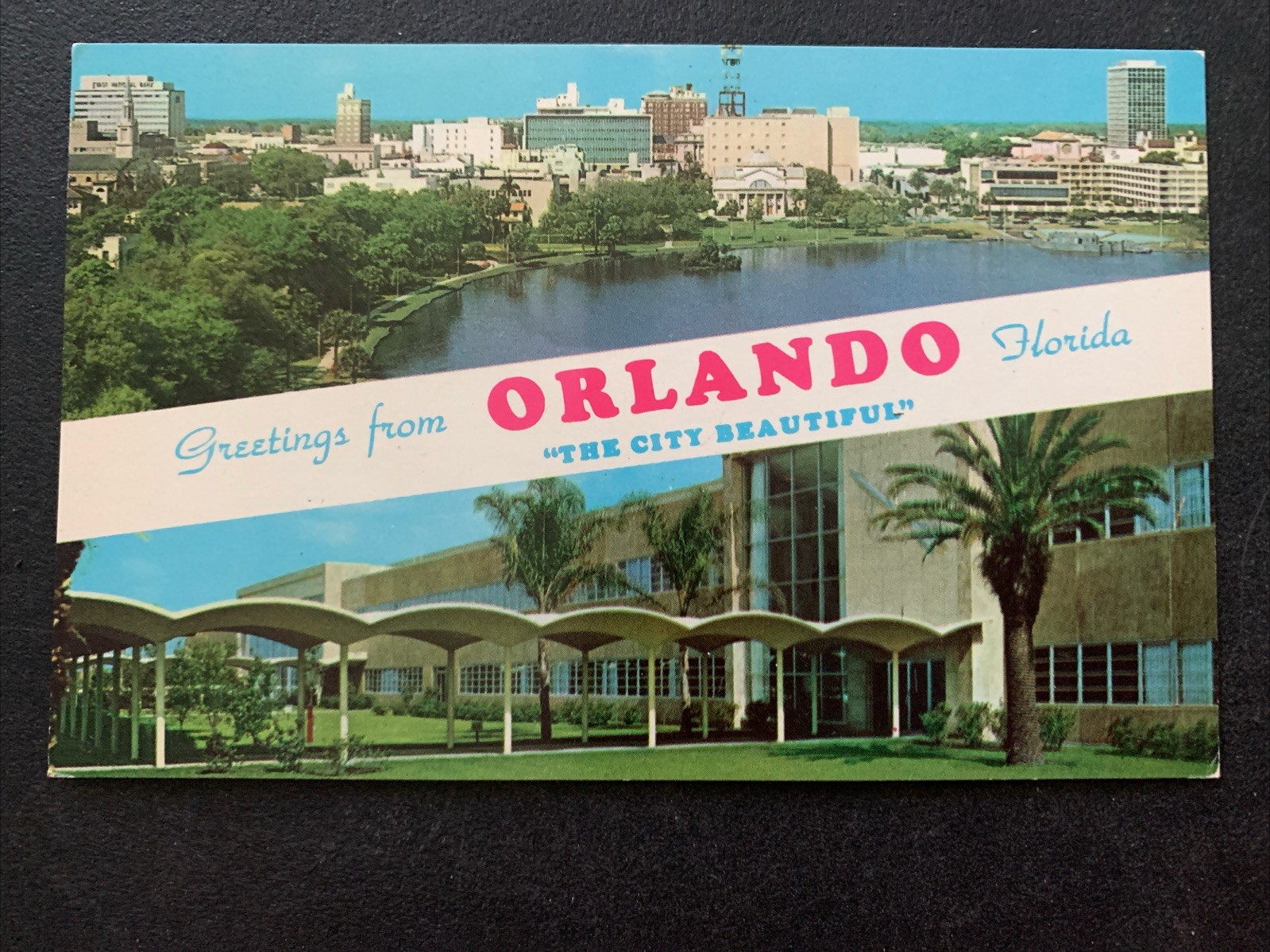 Vintage Postcard Greetings From Orlando Florida Collectible Souvenir
