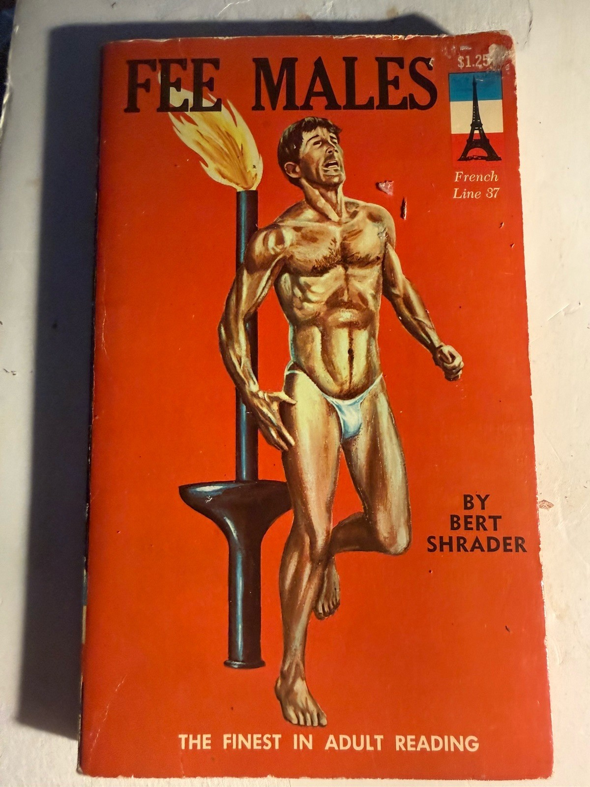FEE MALES - 1968 BERT SHRADER- FRENCH LINE -VINTAGE PULP NOVEL GAY INTEREST