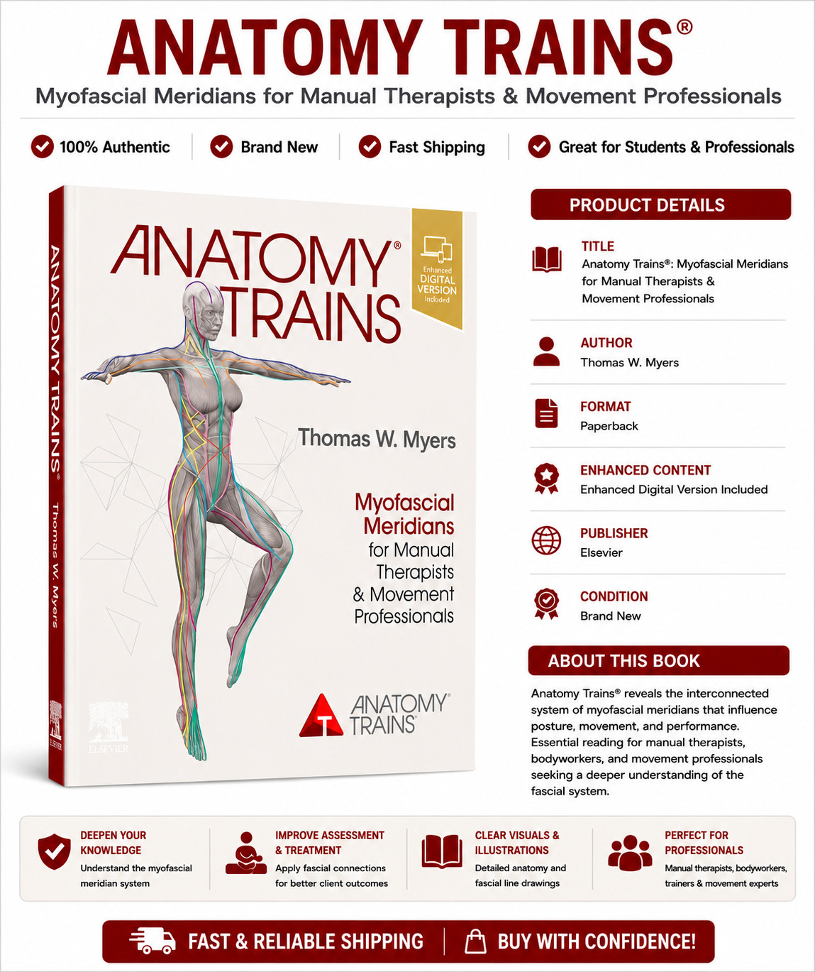 Anatomy Trains : Myofascial Meridians for Manual Therapist Anatomy Trains : Myofascial Meridians for Manual Therapist