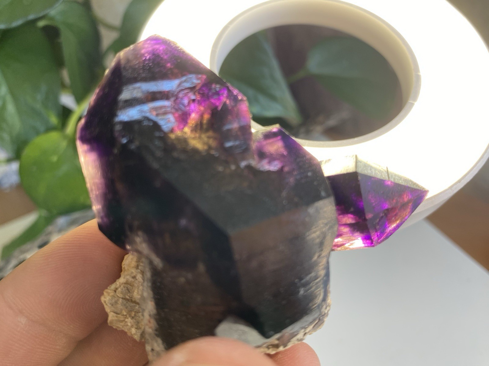 120 Gram Deep Purple Amethyst Scepter Cluster - Erongo 120 Gram Deep Purple Amethyst Scepter Cluster - Erongo