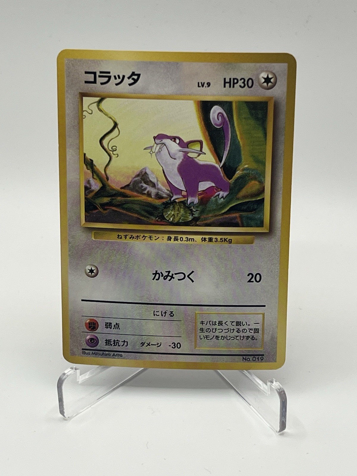 1996 Japanese Pokemon Base Set Rattata No.019 Vintage Old Back Card 1996 Japanese Pokemon Base Set Rattata No.019 Vintage Old Back Card