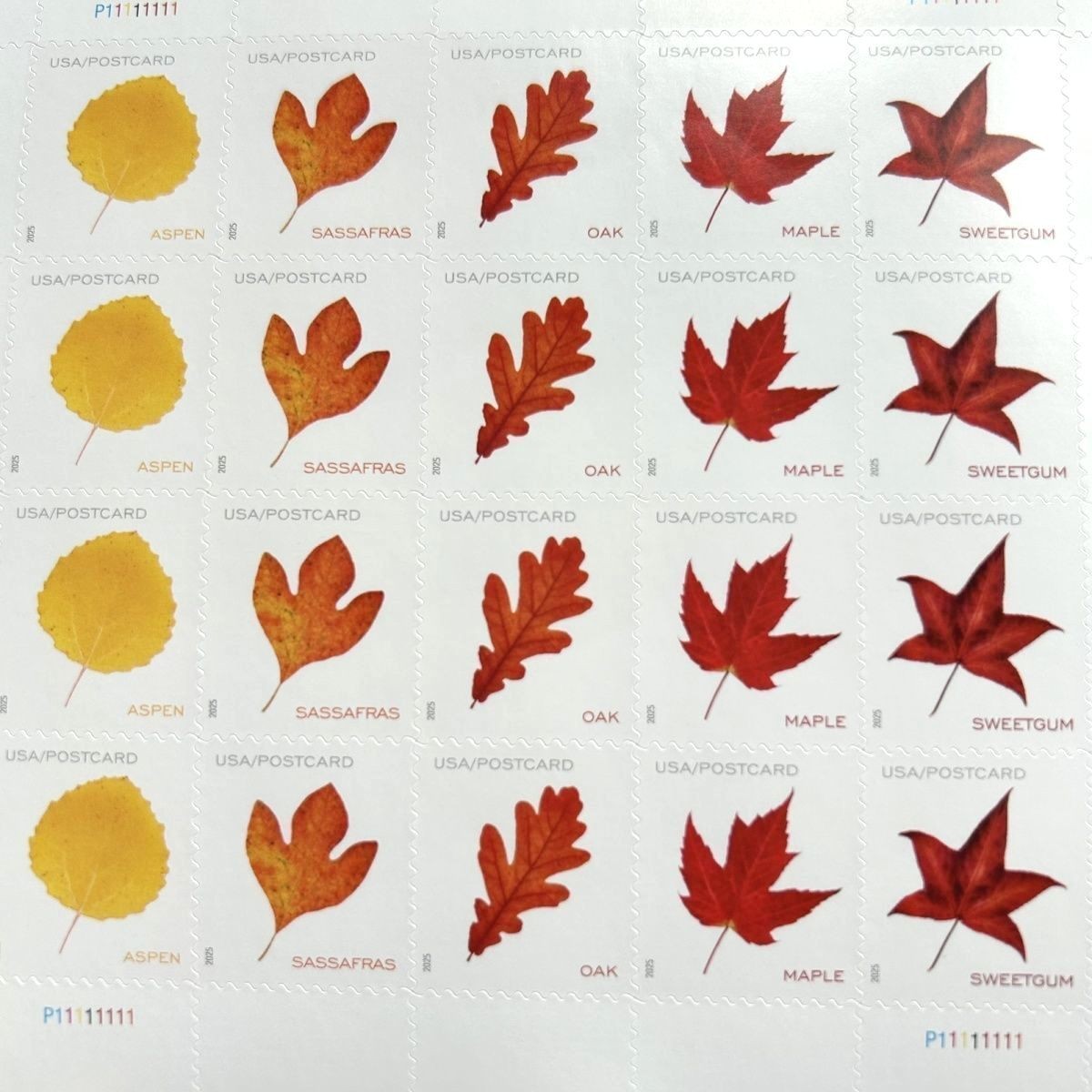 2025 Vibrant Leaves Postcard Stamps SC#5966-5970- MNH- 100 PCS TOTAL 2025 Vibrant Leaves Postcard Stamps SC#5966-5970- MNH- 100 PCS TOTAL