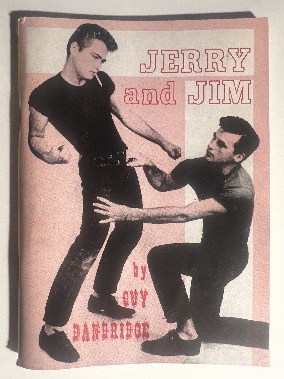 JERRY AND JIM 1967 VINTAGE PULP NOVEL GAY INTEREST GUILD PRESS VERY NICE RARE