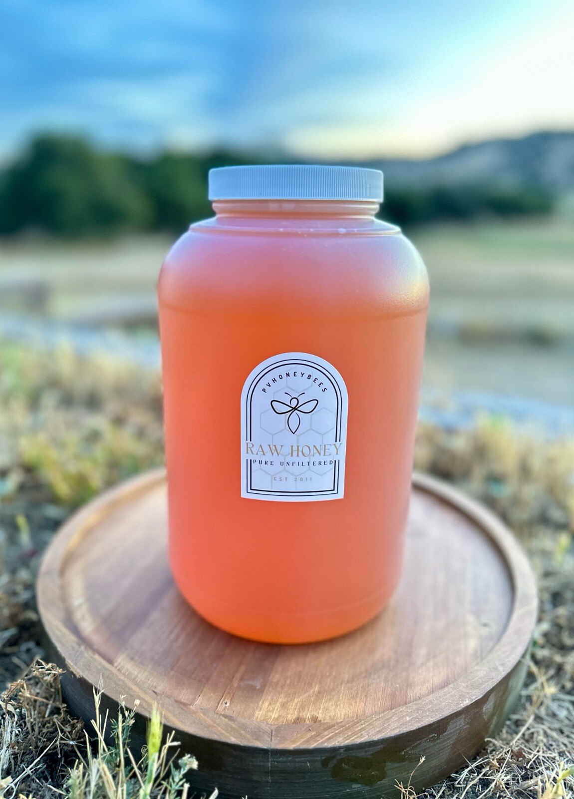 100% Raw, Unfiltered, Unheated California Orange Blossom Honey 1 Gallon, 2026