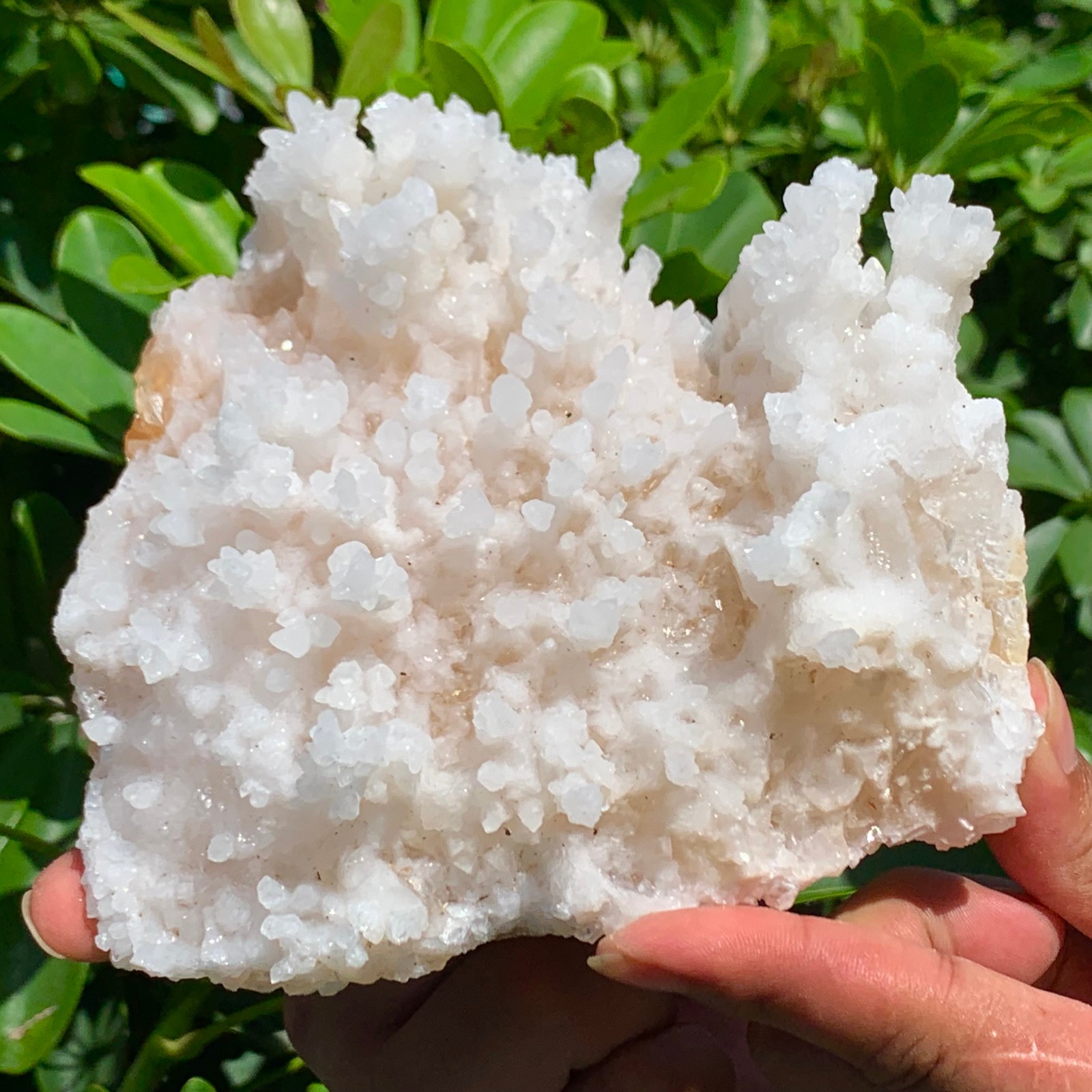 2.53LB Beautiful Natural stalactite Crystal Cluster Mineral Specimen/China