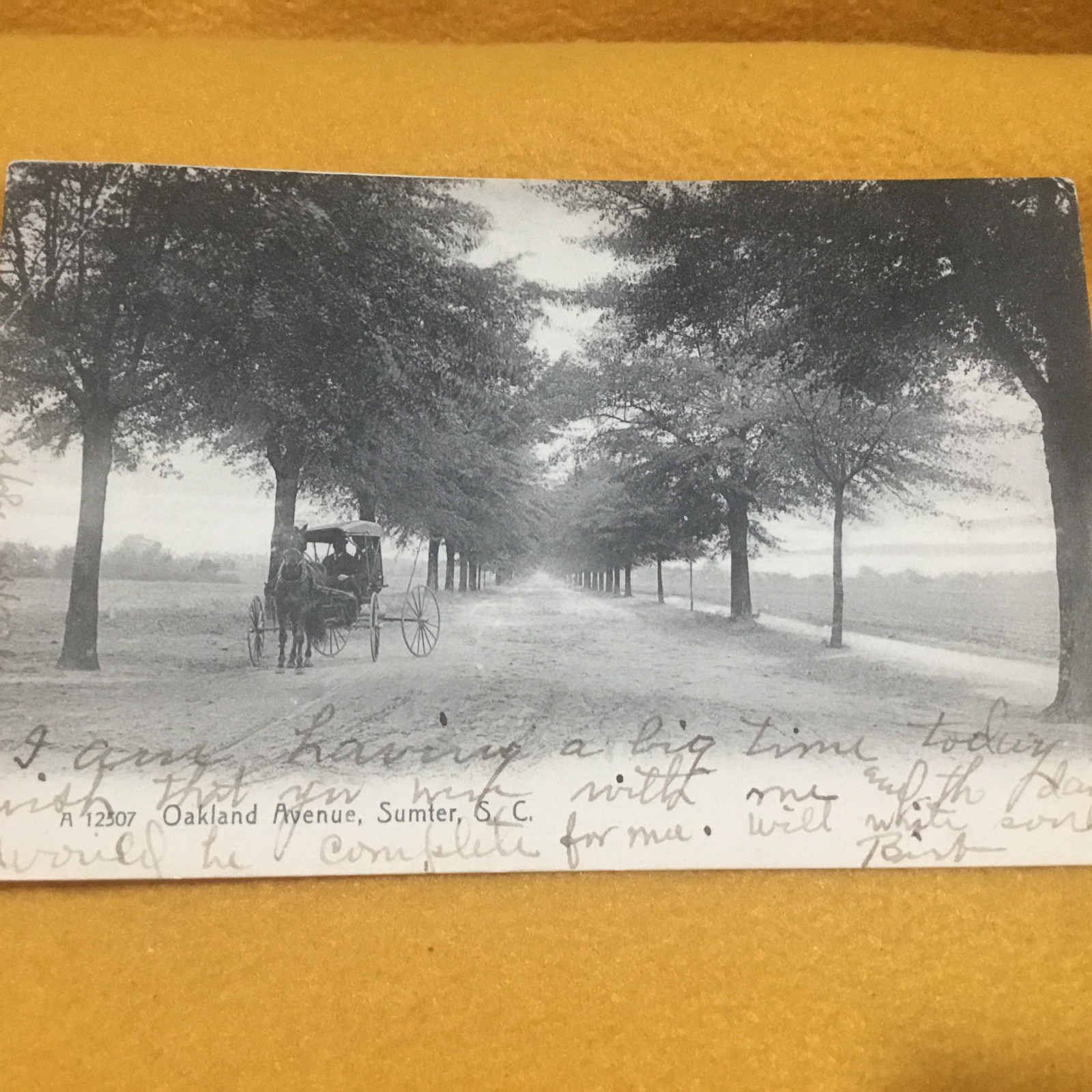 1906 Oakland Avenue Sumter SC Postcard 1906 Oakland Avenue Sumter SC Postcard