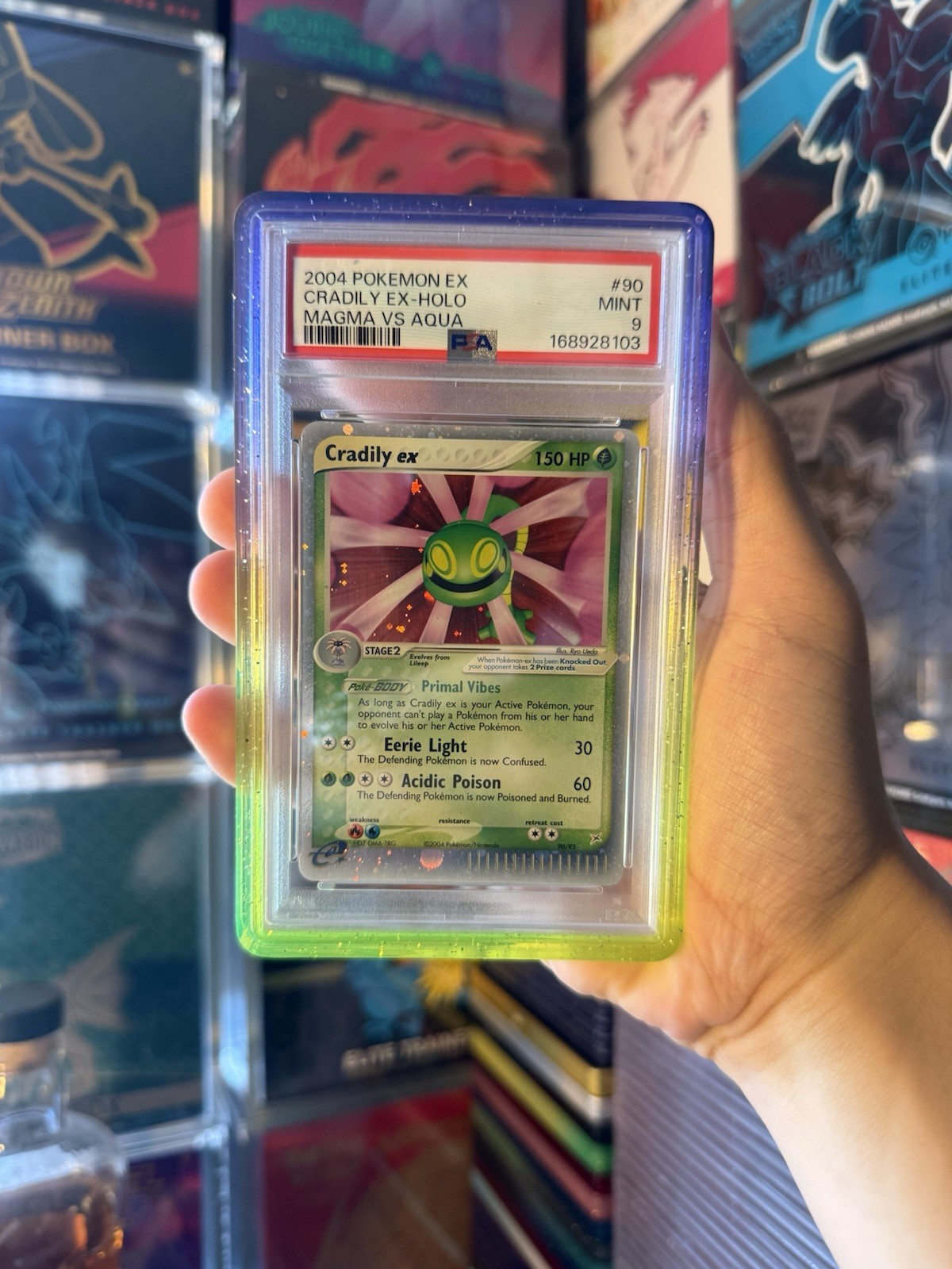 2004 Pokemon Cradily Ex Holo Magma Vs Aqua #90 PSA 9 2004 Pokemon Cradily Ex Holo Magma Vs Aqua #90 PSA 9