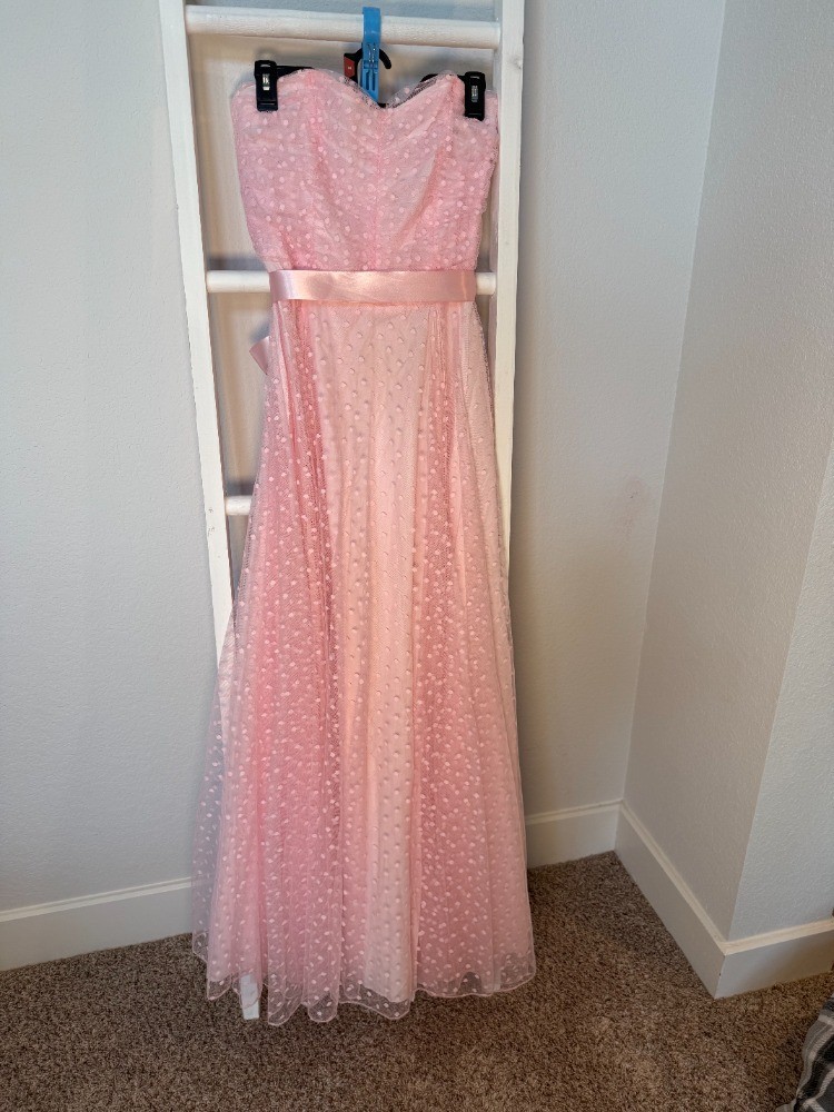 Vintage 1983 Roberta of California Pink Swiss Dot Prom Dress Juniors Size 13/14 Vintage 1983 Roberta of California Pink Swiss Dot Prom Dress Juniors Size 13/14