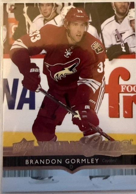 2014-15 Upper Deck Series 1 & 2 Hockey Young Guns Rookie 2014-15 Upper Deck Series 1 & 2 Hockey Young Guns Rookie
