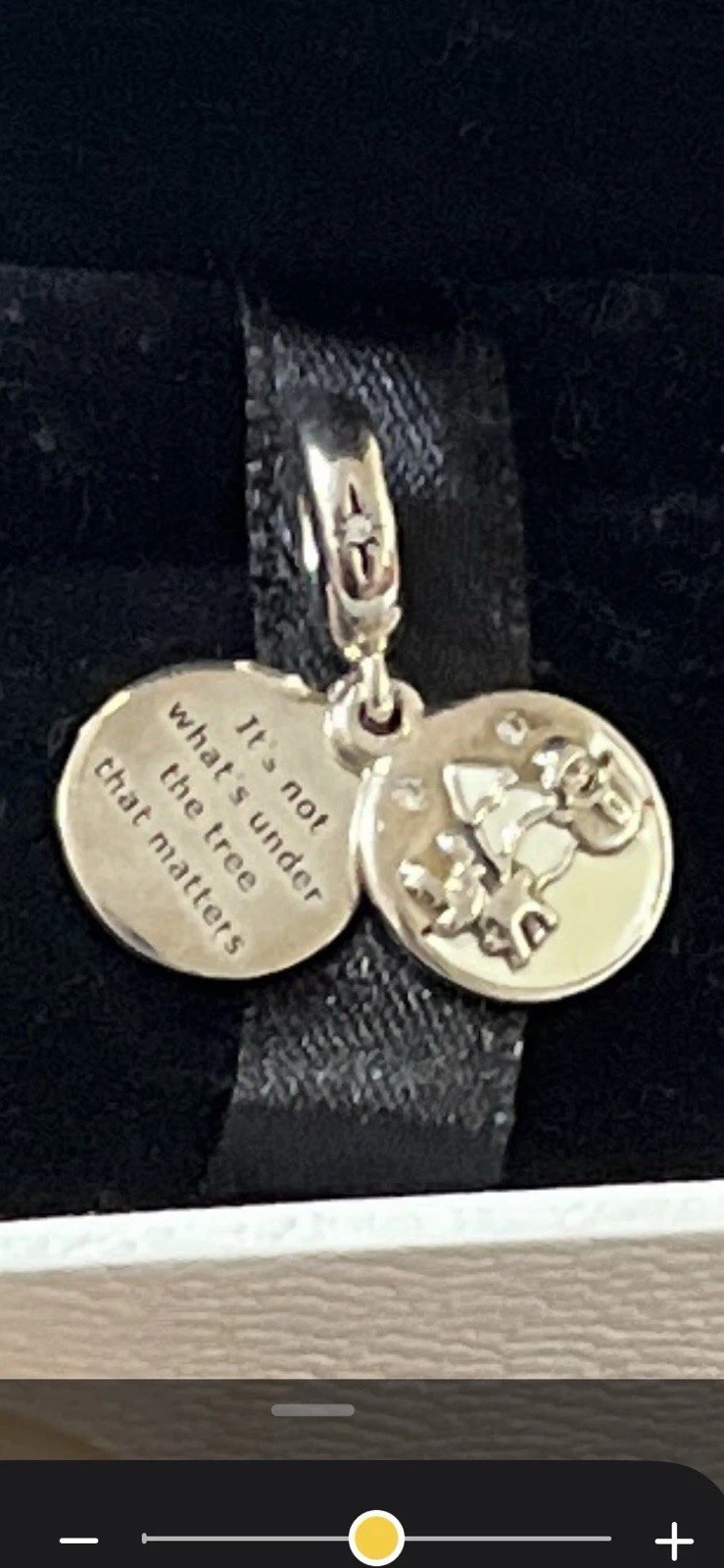 Pandora holiday Charm 