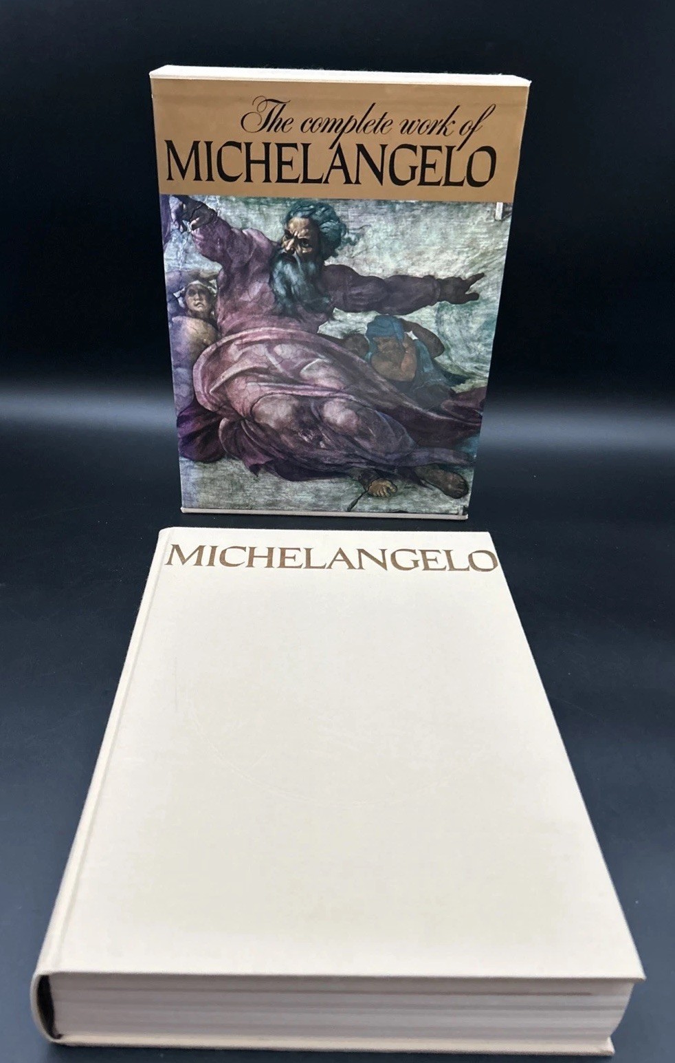 The Complete Work Of Michelangelo Reynal Publ. HC Slipcase-A++ Japan Big &Clean The Complete Work Of Michelangelo Reynal Publ. HC Slipcase-A++ Japan Big &Clean