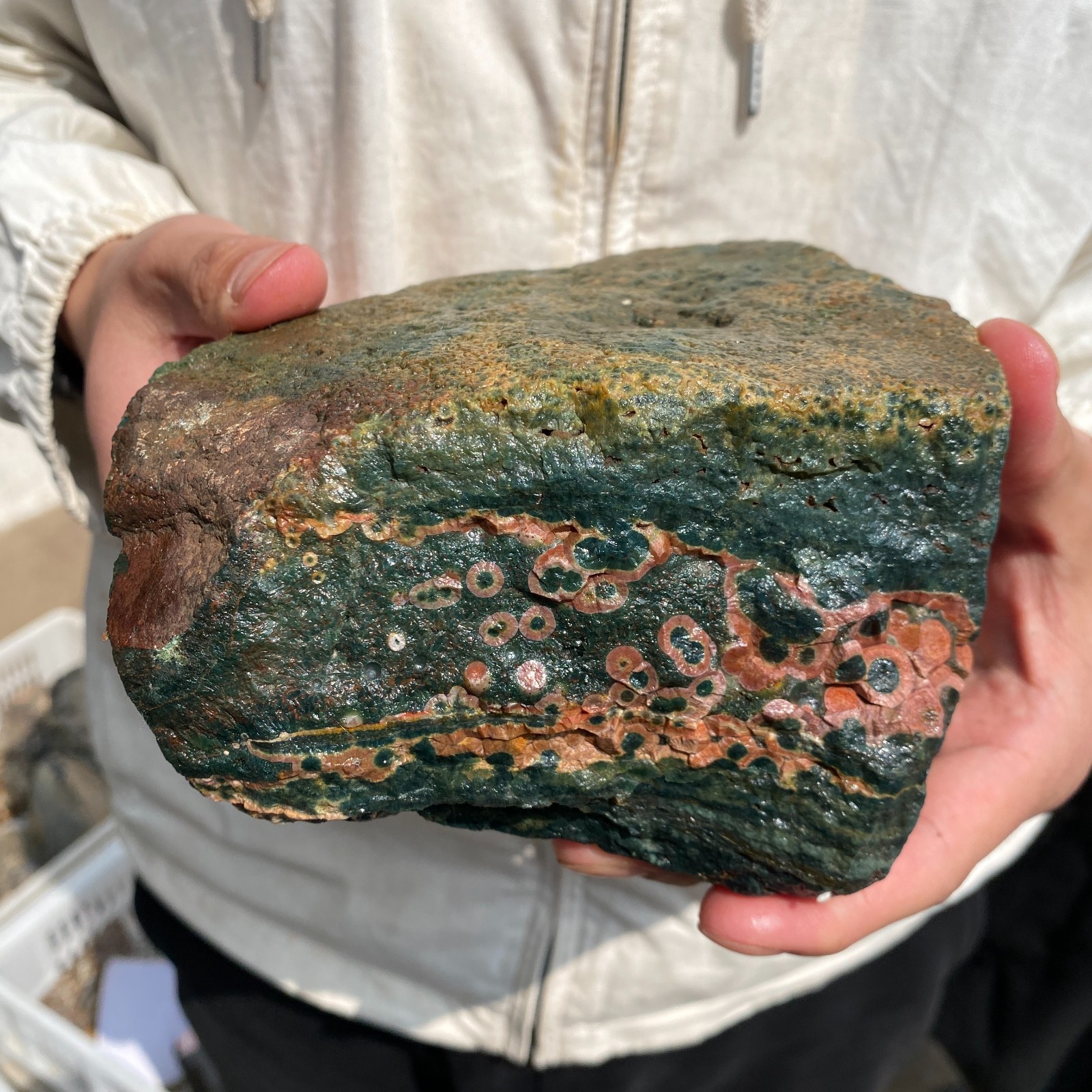 4.9LB Rare Natural Raw Ocean Jasper Rough Quartz Crystal Mineral SpecimeM