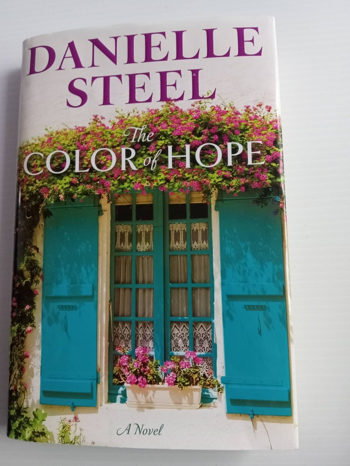 The Color of Hope : A Novel by Danielle Steel (NEW Hardcover)