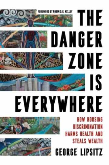 The Danger Zone Is Everywhere: How - Paperback, by Lipsitz George - New h The Danger Zone Is Everywhere: How - Paperback, by Lipsitz George - New h
