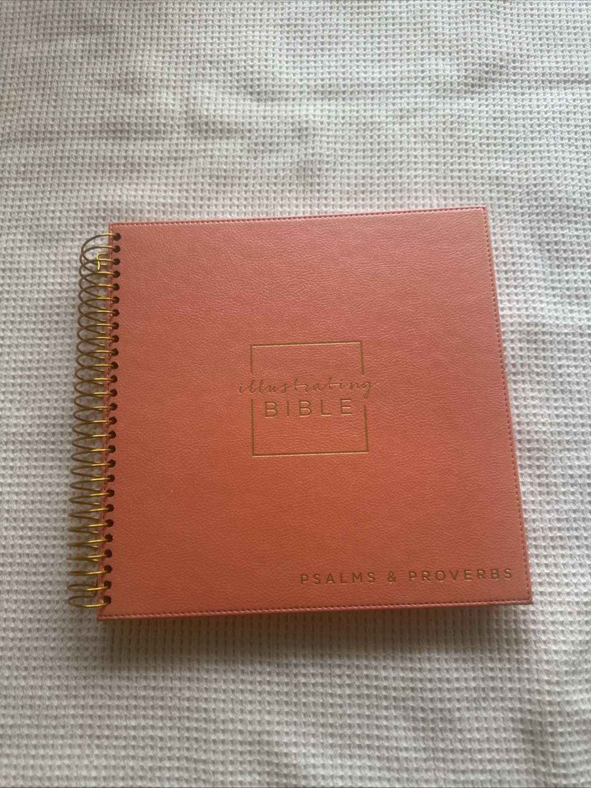 Illustrating Bible, Psalms And Proverbs  Illustrating Bible, Psalms And Proverbs 