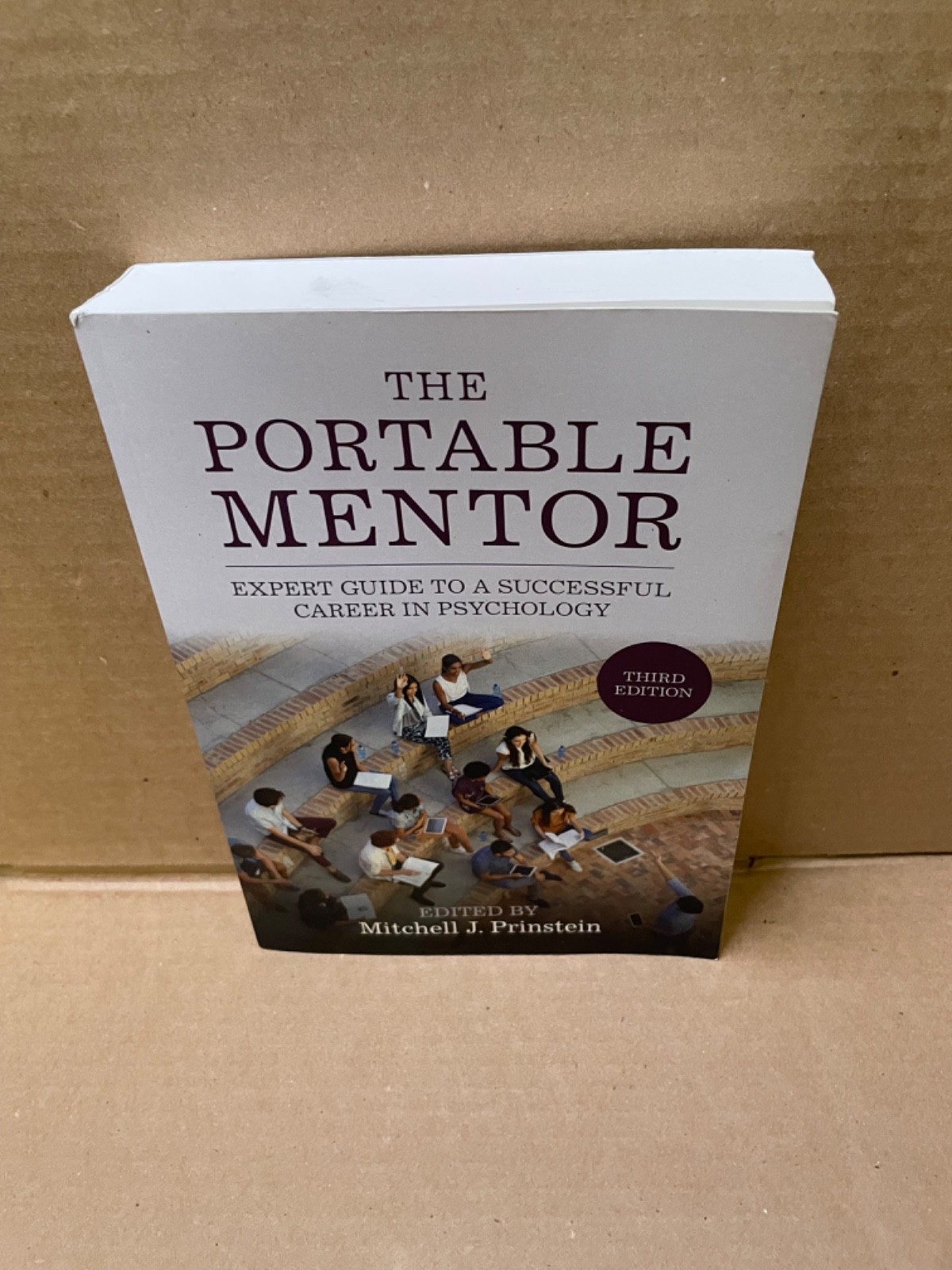 The Portable Mentor - Paperback, by Prinstein Mitchell J. - Good The Portable Mentor - Paperback, by Prinstein Mitchell J. - Good