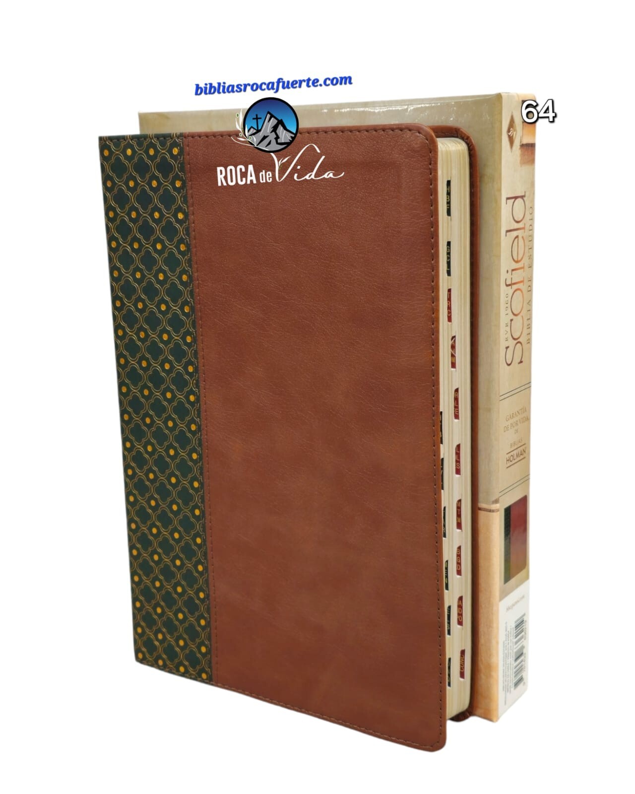 Biblia de Estudio Scofield Pastoral Reina Valera 1960 cafe y verde con indice