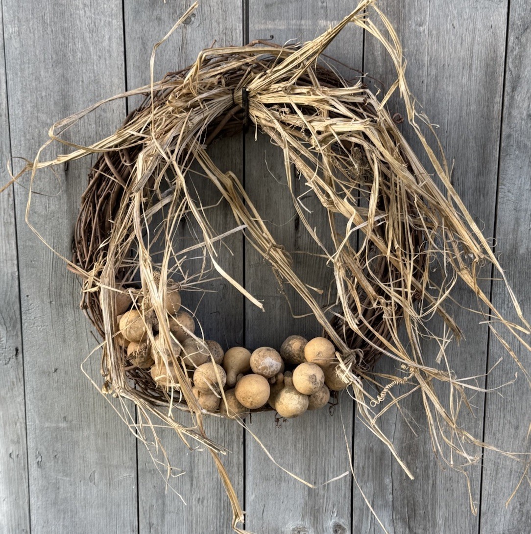 15” Primitive Fall Wreath Grungy Grubby Spinner Gourd Grapevine Wreath With Vine