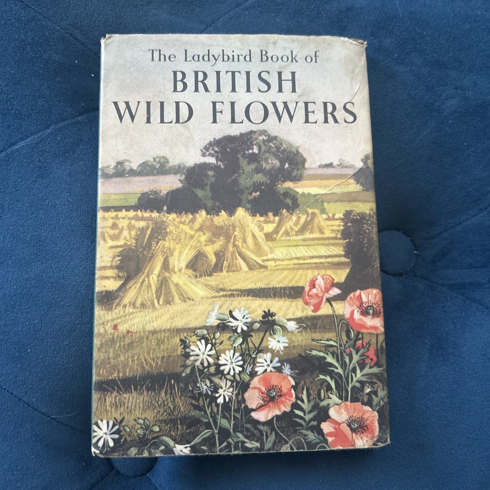 Ladybird Books Vintage British Wild Flowers Series 536 1950s/1960s hardback book