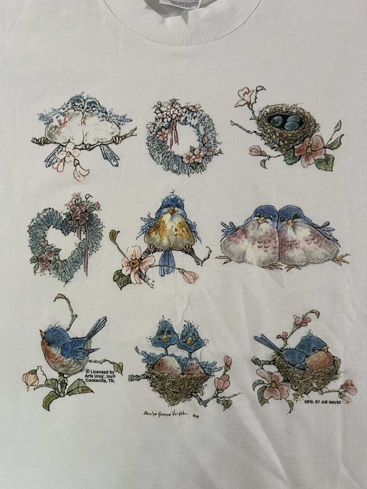 Vintage 1990’s Airwaves Bird Nature Flowers Tshirt Grandmacore Cottage Core S Vintage 1990’s Airwaves Bird Nature Flowers Tshirt Grandmacore Cottage Core S