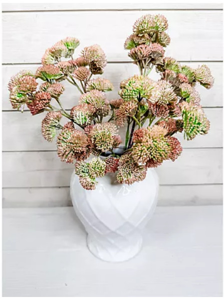 Simply Stunning Set of 5 Pink Sedum by Janine Graff