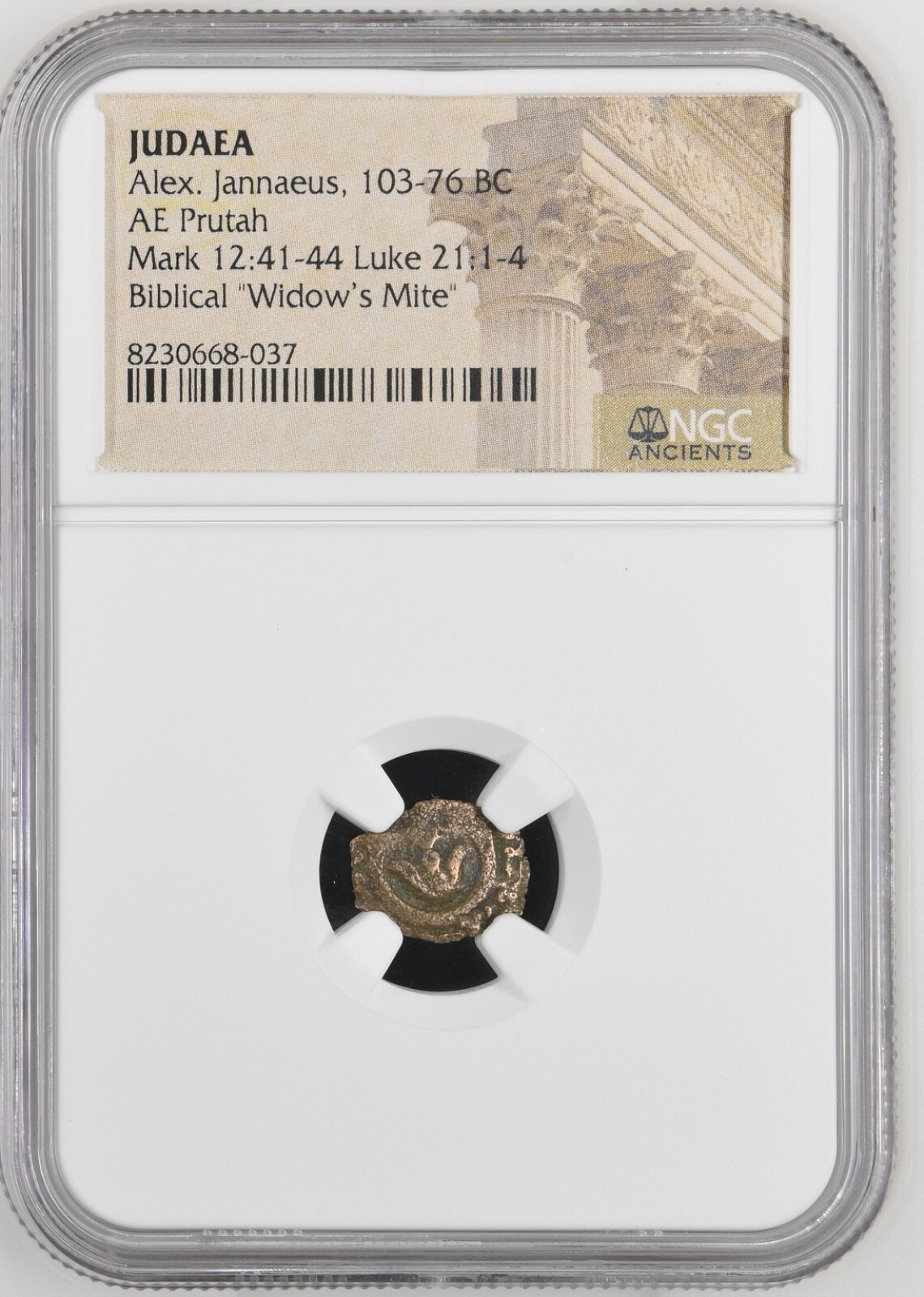 Widows Mite NGC Ancients Certified *  Higher Grade * Judean Prutah from Parable