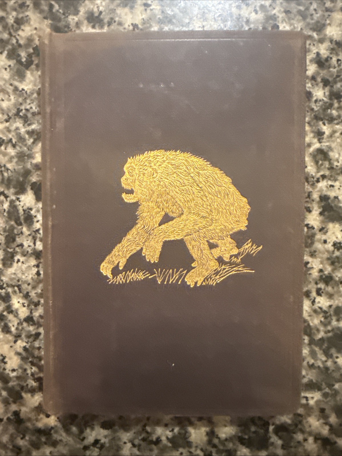 RARE: 1890 EQUATORIAL AFRICA AND COUNTRY OF THE DWARFS - Gorillas, Pygmies RARE: 1890 EQUATORIAL AFRICA AND COUNTRY OF THE DWARFS - Gorillas, Pygmies